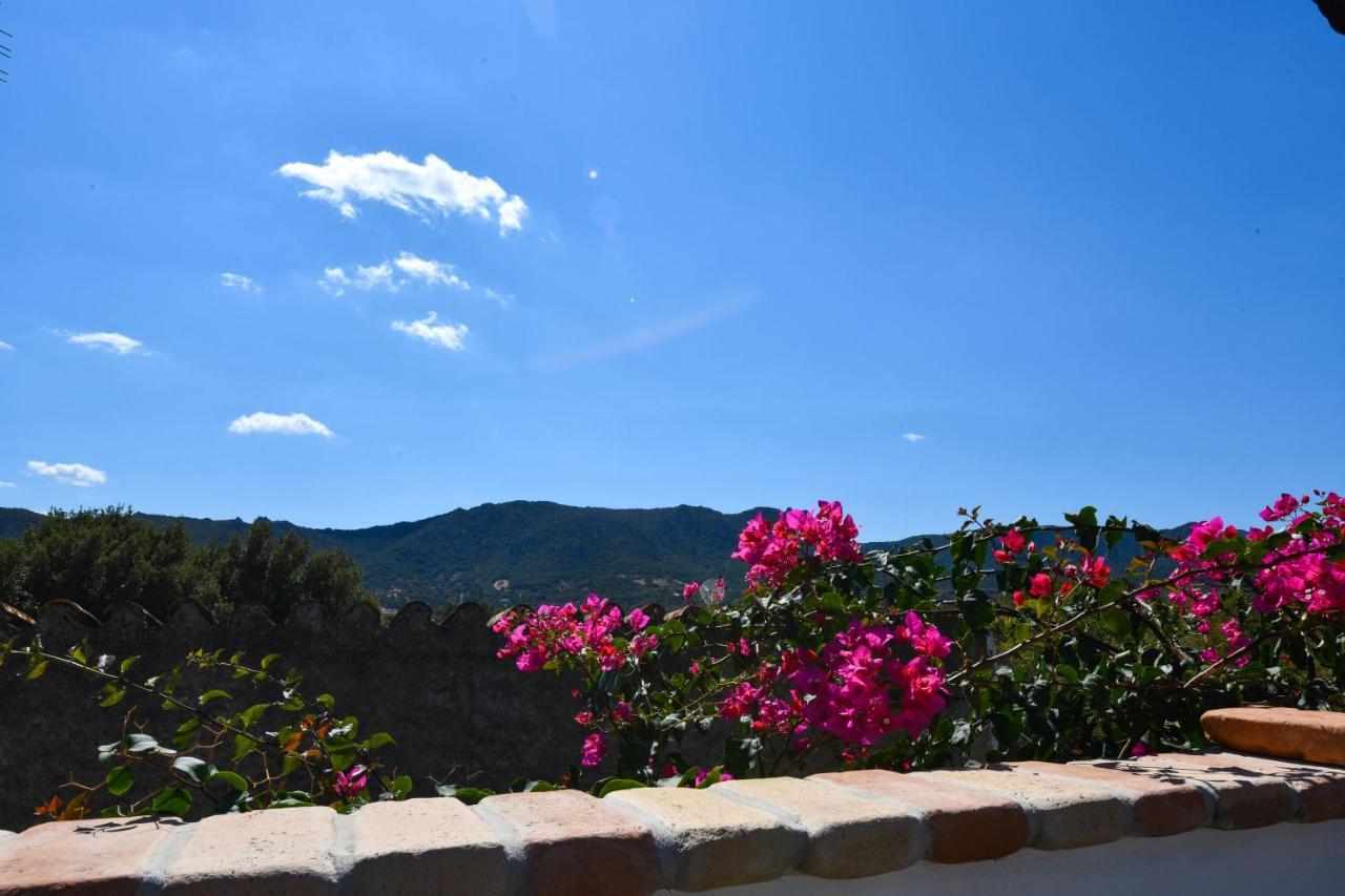 Bentosa Villa Enas Екстериор снимка